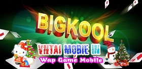 Bigkool - Game Đánh Bài Siêu Giải Trí